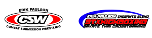 csw-stx-logo-black-letters-300x75