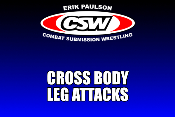 Cross Body Leg Attacks